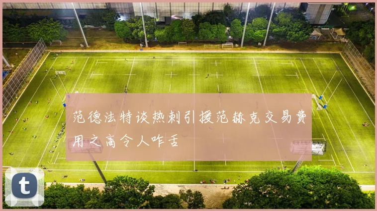 范德法特谈热刺引援范赫克交易费用之高令人咋舌